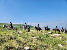 Israel-North-On Horseback in the Land of Galilee